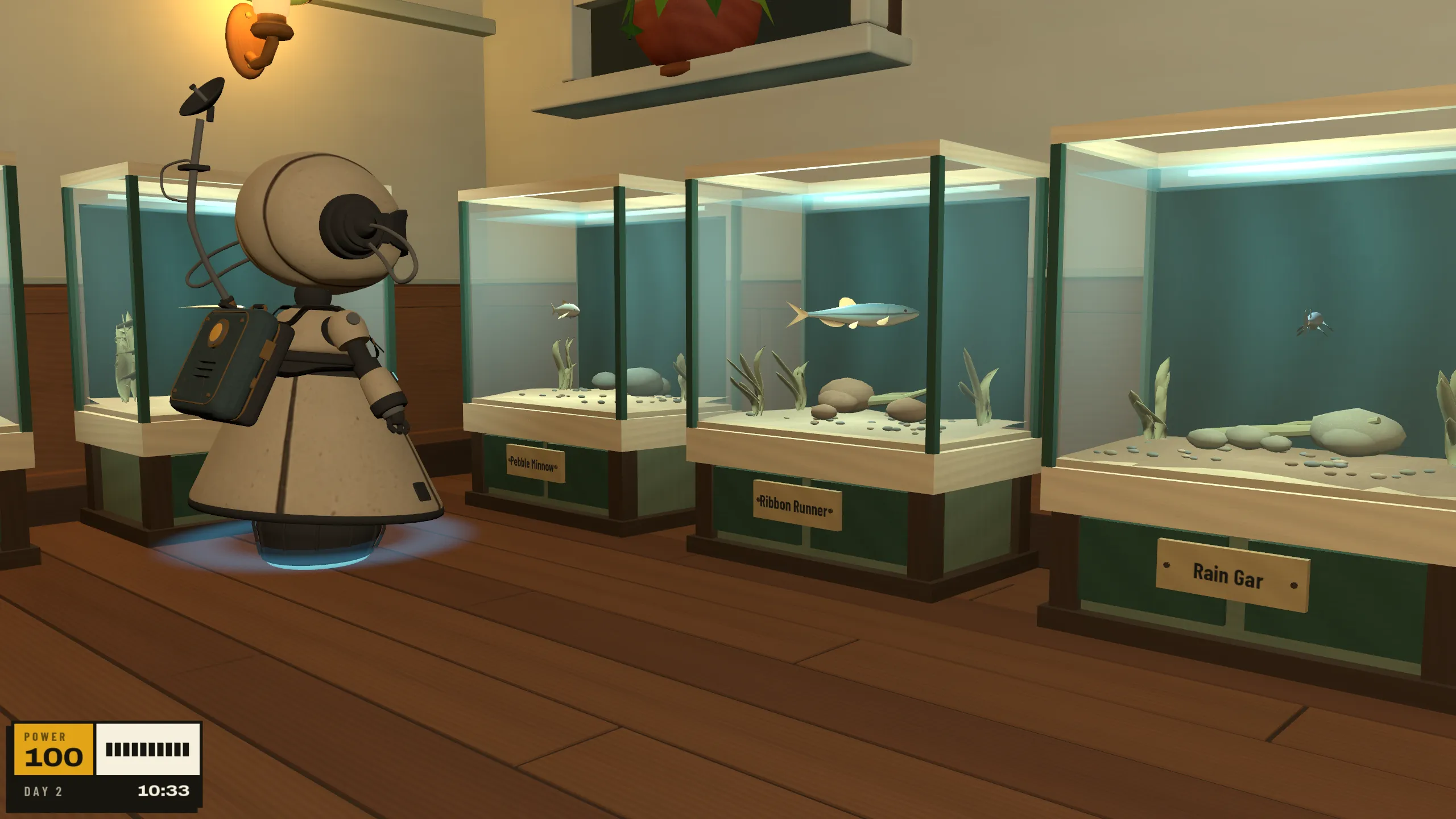 Donated fish swim in the lit wall tanks.