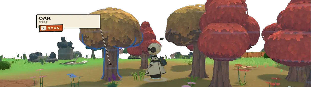 Scanning an oak.